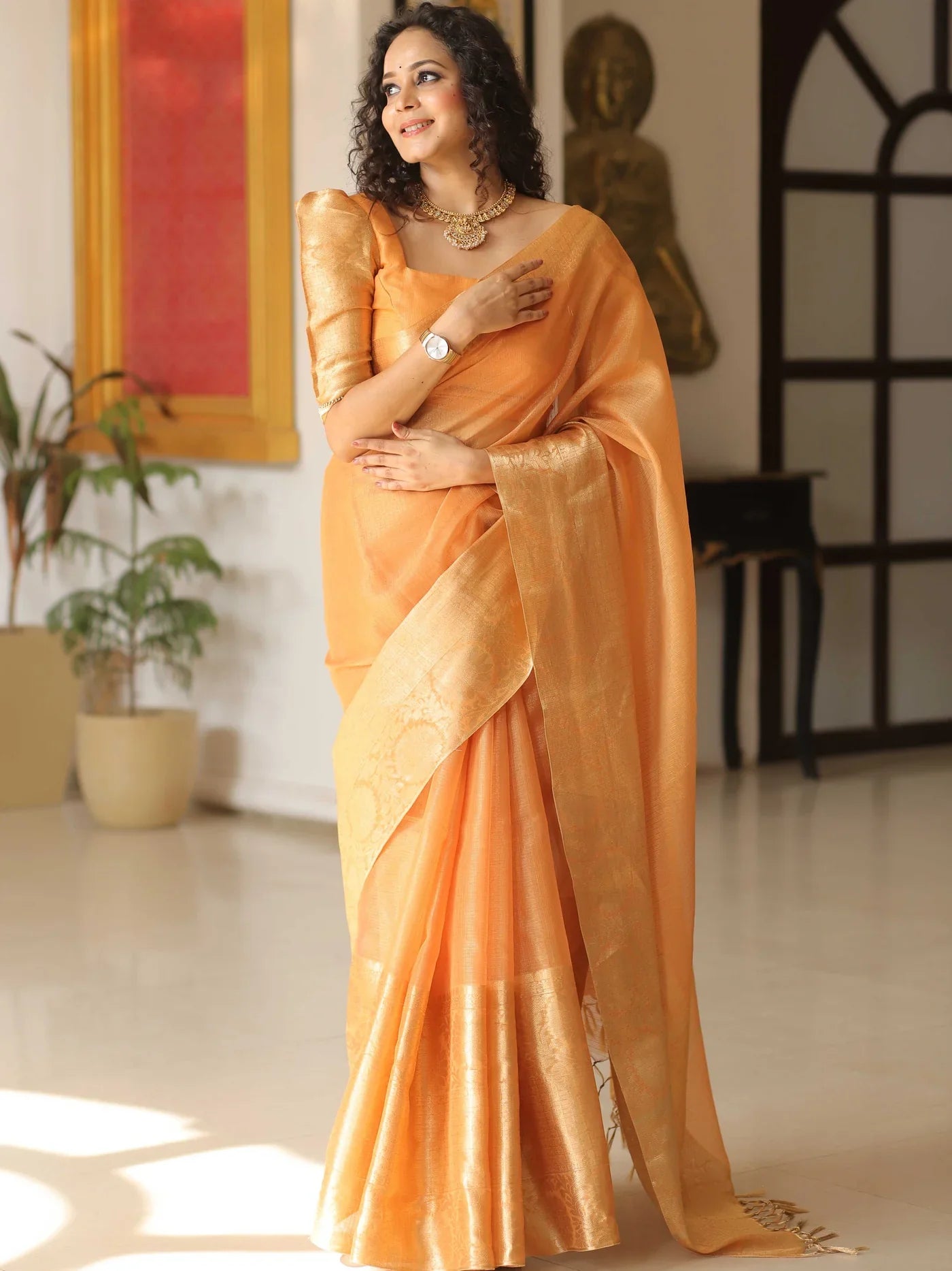 Banarasee Handwoven Plain Tissue Skirt Border Saree